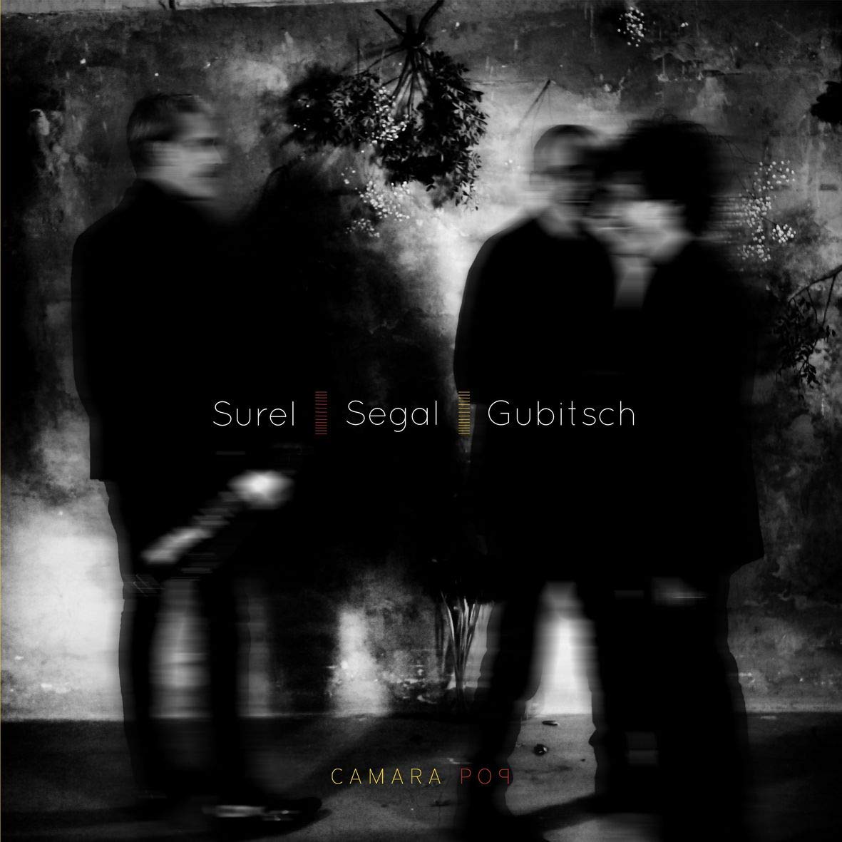 Surel, Segal, Gubitsch • Camara Pop • Vinyle